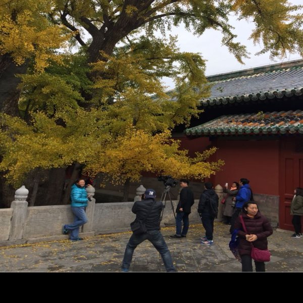大觉寺 - 图片5