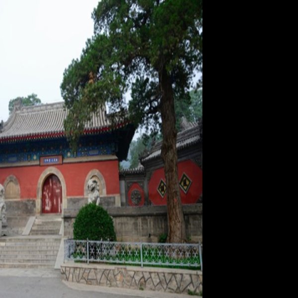 大觉寺 - 图片7