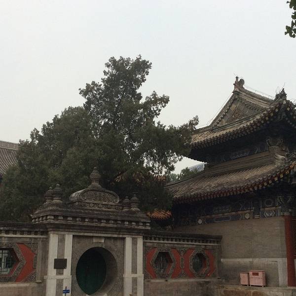 万寿寺 - 图片1
