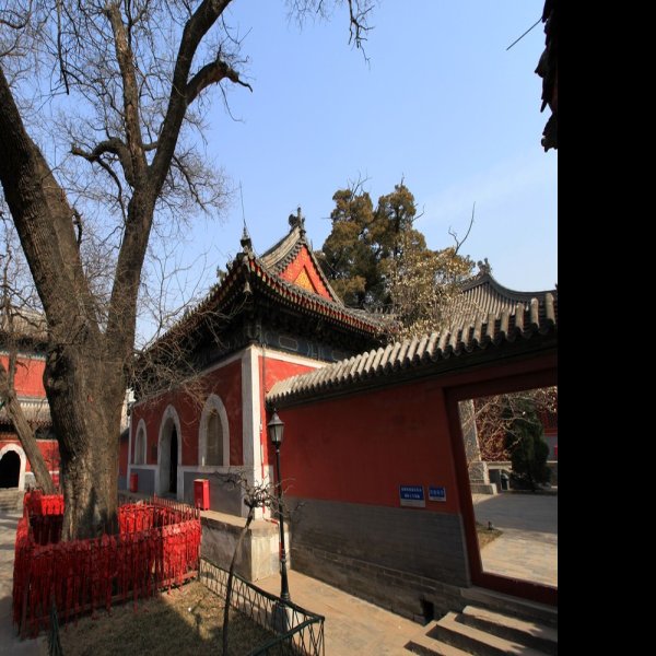 万寿寺 - 图片2