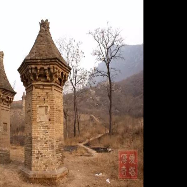 万寿寺塔林 - 图片5