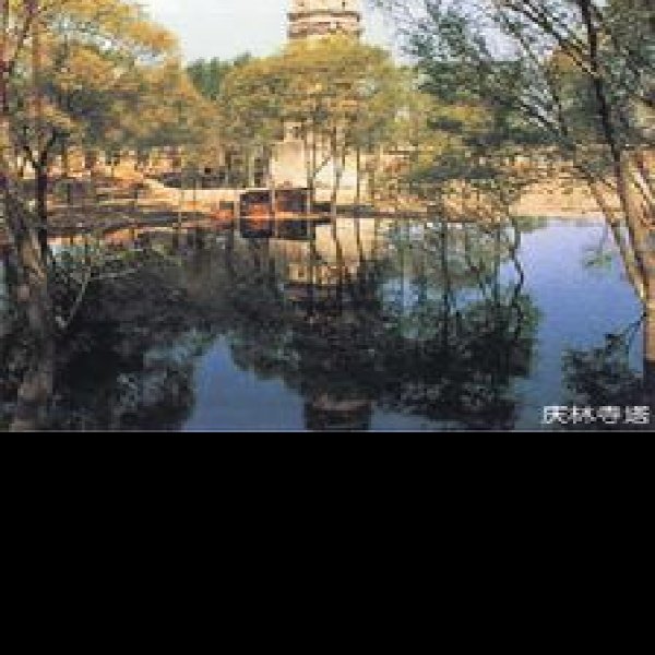 庆林寺塔 - 图片10