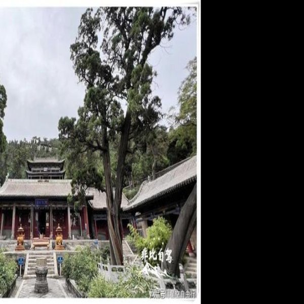 卦山天宁寺 - 图片1