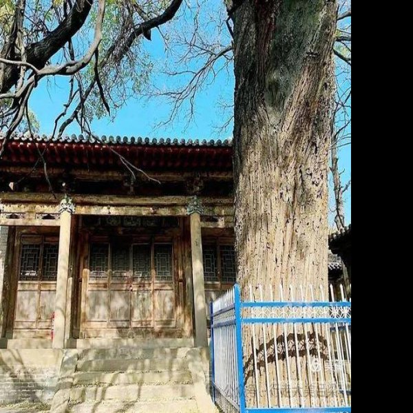 狐突庙 - 图片4