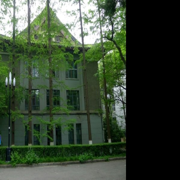 金陵大学旧址 - 图片2