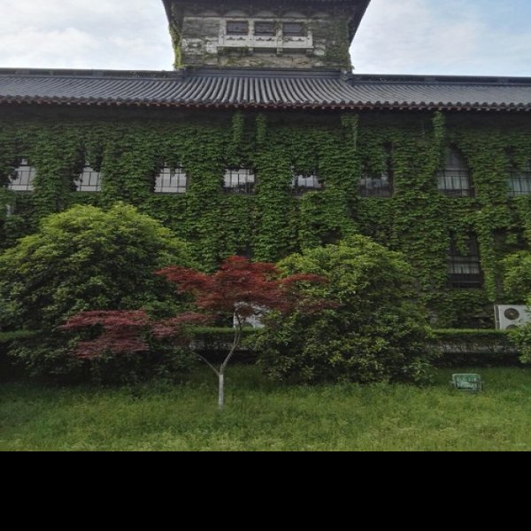 金陵大学旧址 - 图片9