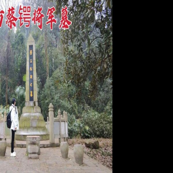 蔡锷墓 - 图片1