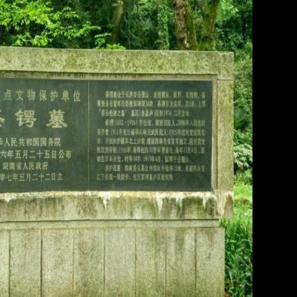 蔡锷墓 - 图片8