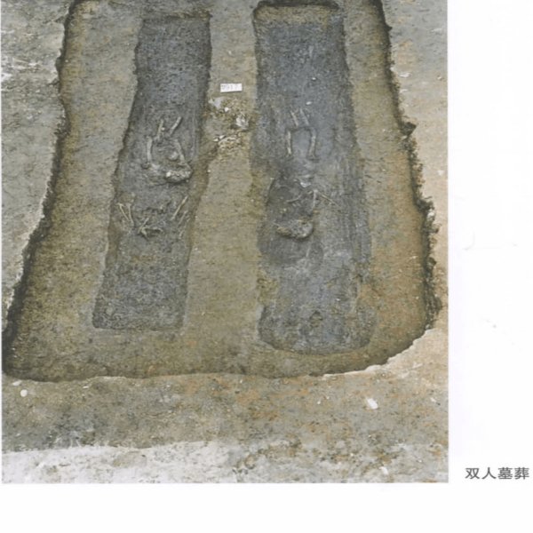金沙遗址 - 图片1