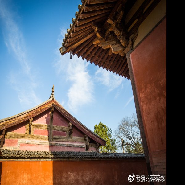 南禅寺 - 图片5