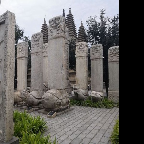 真觉寺 - 图片2