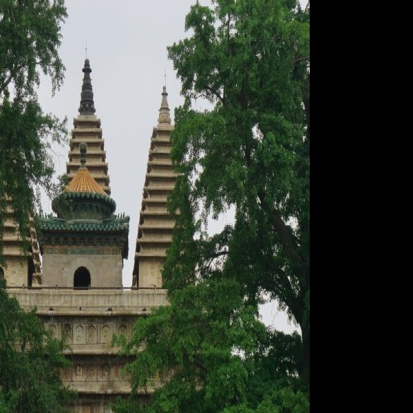 真觉寺 - 图片5