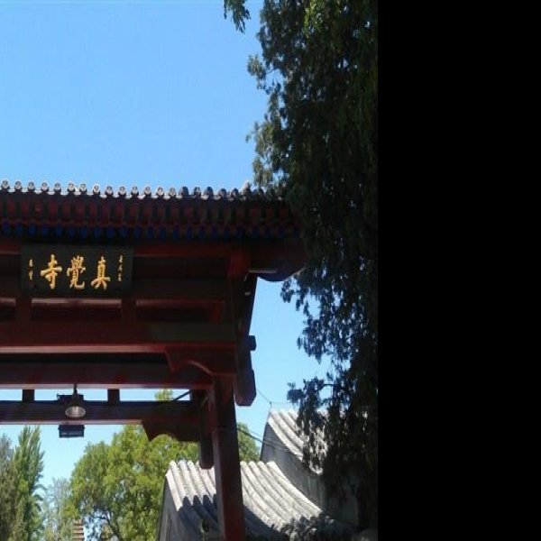 真觉寺 - 图片9
