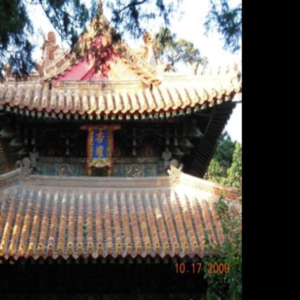 孔庙 - 图片3