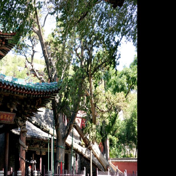 山西晋祠 - 图片2