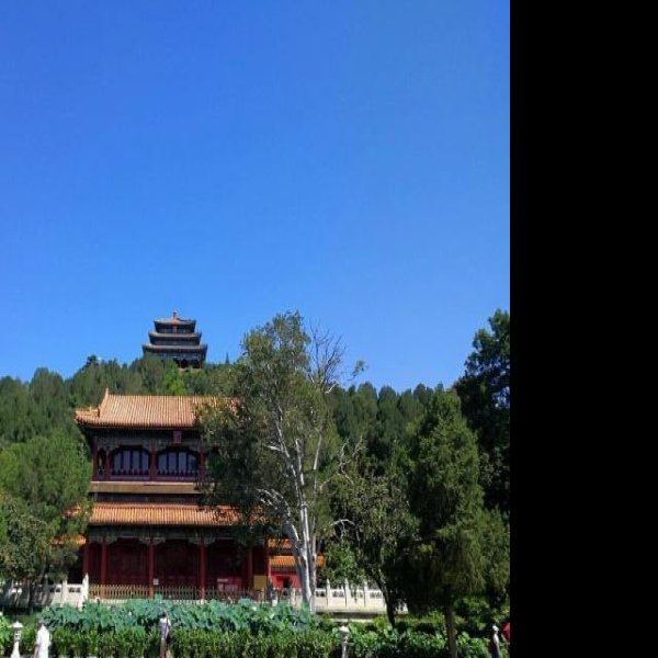 景山公园 - 图片10