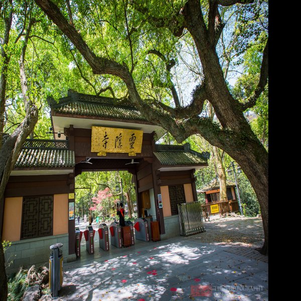 灵隐寺 - 图片1