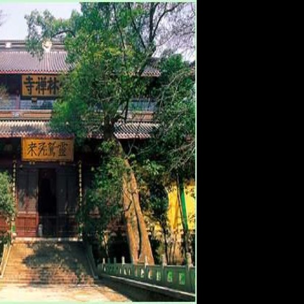 灵隐寺 - 图片3