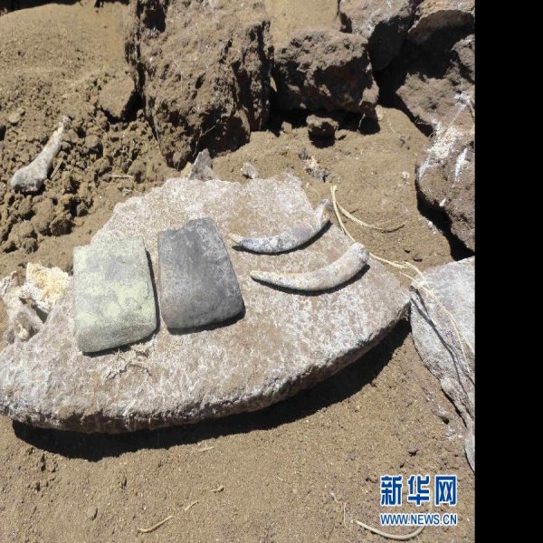 龙山文化遗址 - 图片7