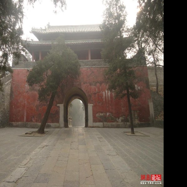 曲阜孔林 - 图片1