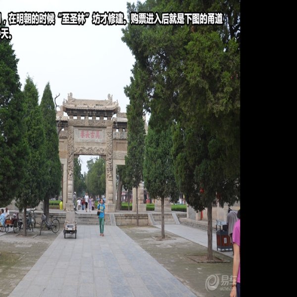 曲阜孔林 - 图片6