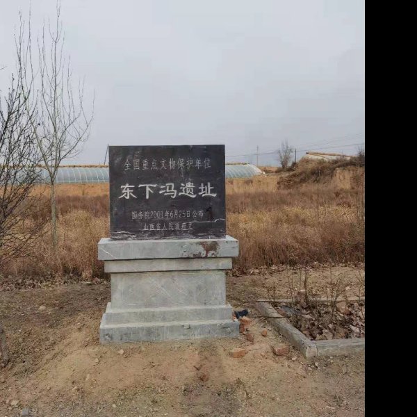 东下冯遗址 - 图片2