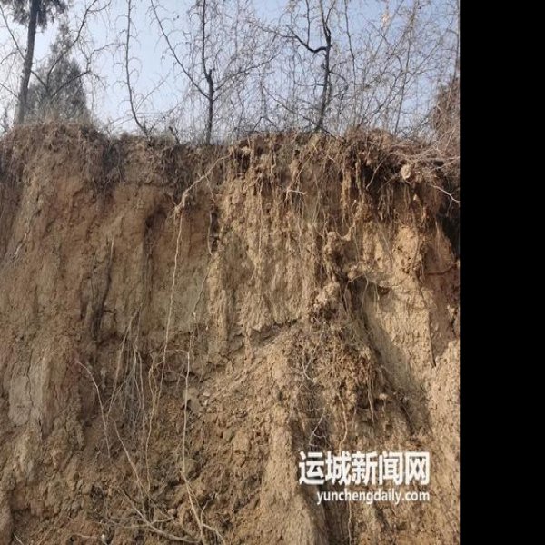 东下冯遗址 - 图片7