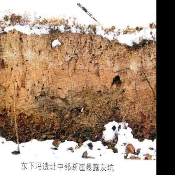东下冯遗址 - 图片9