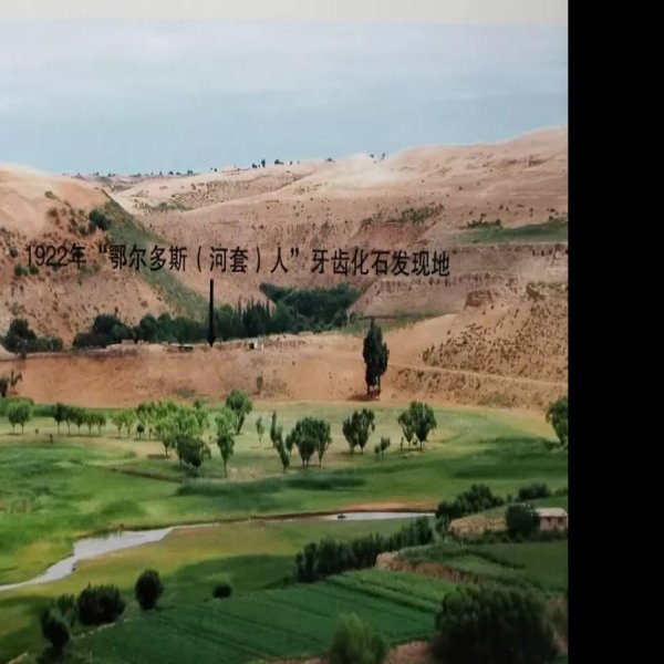 萨拉乌苏遗址 - 图片6