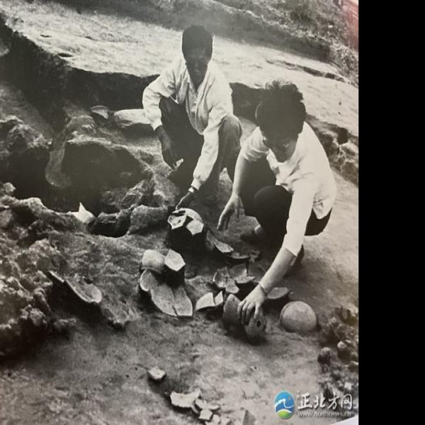 岱海遗址群 - 图片8