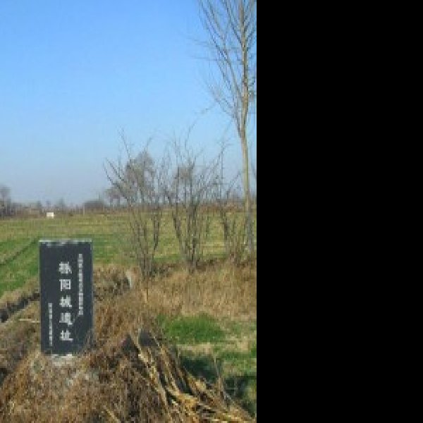 栎阳城遗址 - 图片4