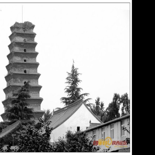 香积寺善导塔 - 图片10