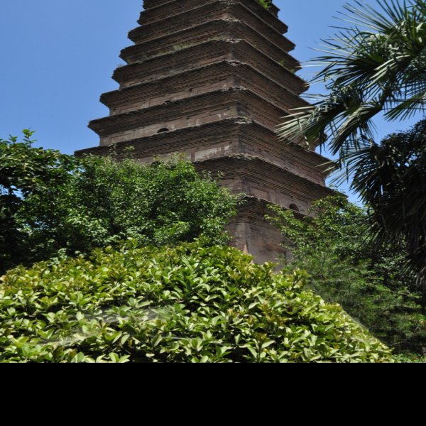 香积寺善导塔 - 图片4