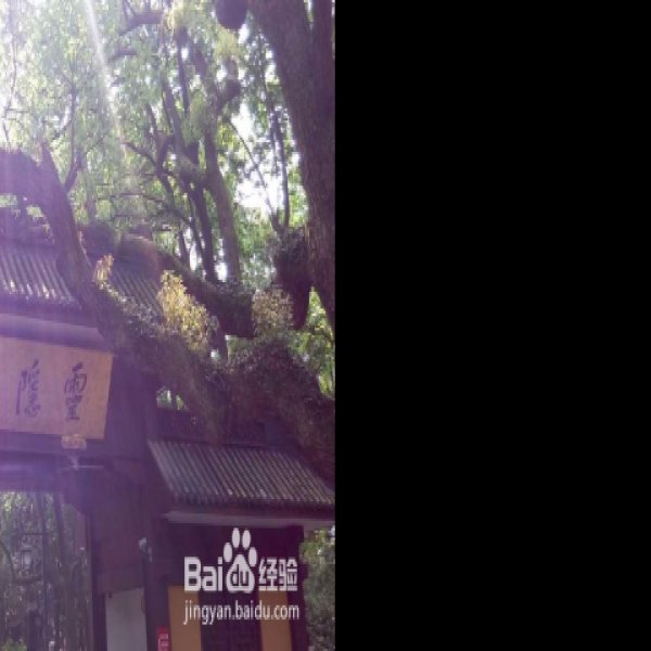 浙江杭州灵隐寺 - 图片4