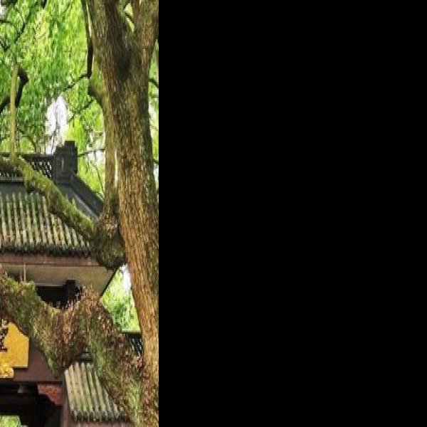 浙江杭州灵隐寺 - 图片9