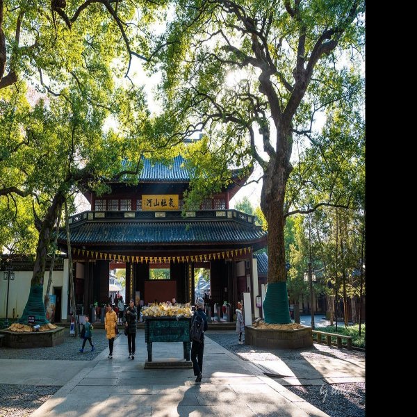 浙江杭州岳王庙 - 图片2