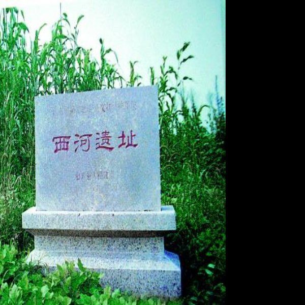 西河遗址 - 图片1