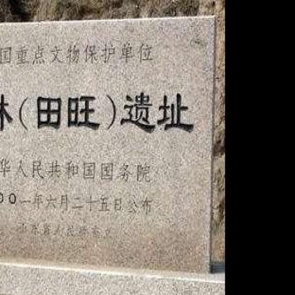 桐林遗址 - 图片6