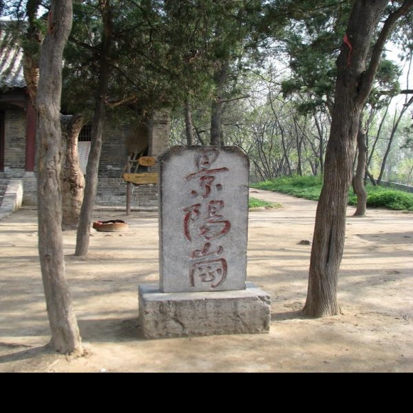 景阳岗遗址 - 图片3
