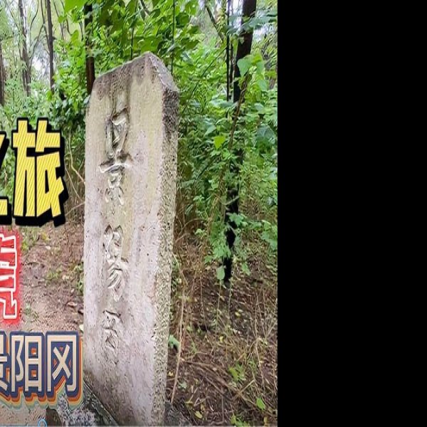 景阳岗遗址 - 图片6
