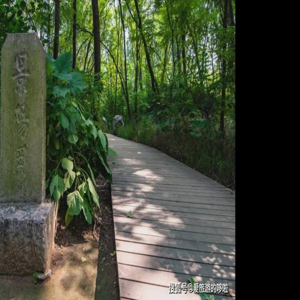 景阳岗遗址 - 图片8