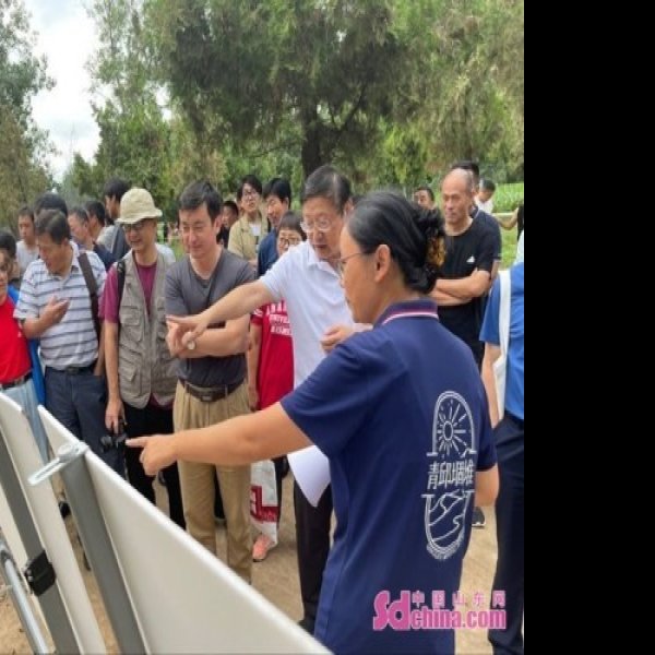 安邱堌堆遗址 - 图片8