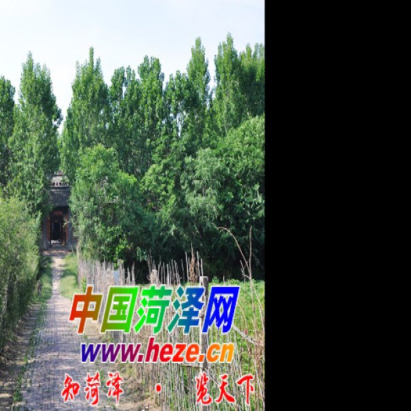 安邱堌堆遗址 - 图片9