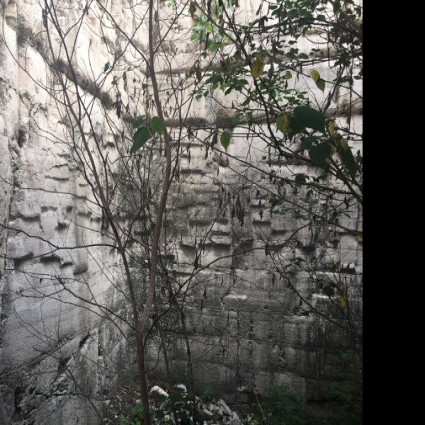 汉济北王墓 - 图片2