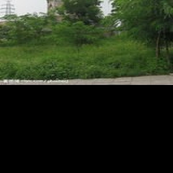 镇岗塔 - 图片7