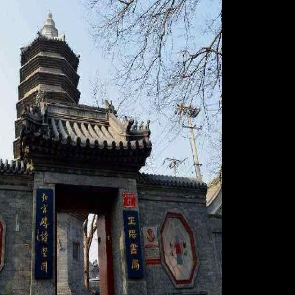 万松老人塔 - 图片10