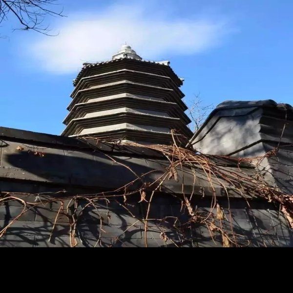 万松老人塔 - 图片9