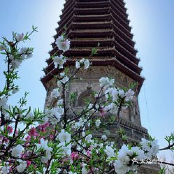 慈寿寺塔 - 图片3