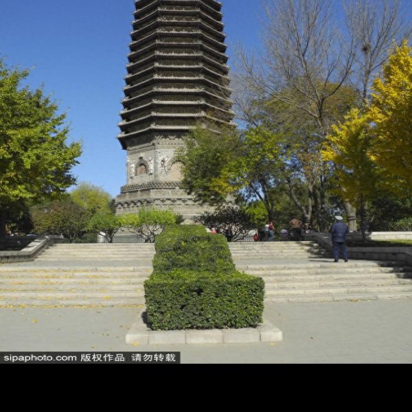 慈寿寺塔 - 图片4