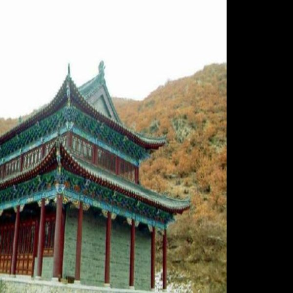 普度寺 - 图片3
